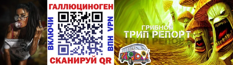 Галлюциногенные грибы Psilocybe  гидра зеркало  Безенчук 